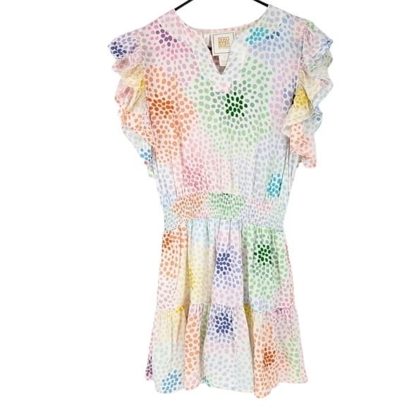 Emily McCarthy Dresses & Skirts - Emily McCarthy Maggie Dress Ruffle Smocked Bubbly Bouquet Embroidered
